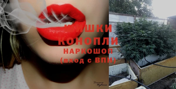 метадон Горнозаводск
