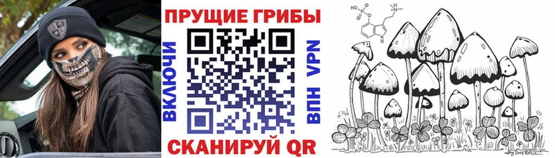 где купить наркотик  Истра  Галлюциногенные грибы Magic Shrooms 
