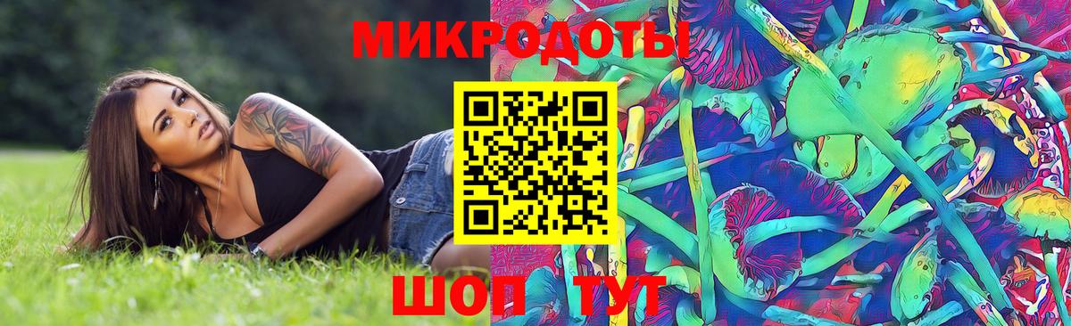 Галлюциногенные грибы Cubensis  Вход с VPN  Истра  Галлюциногенные грибы прущие грибы 